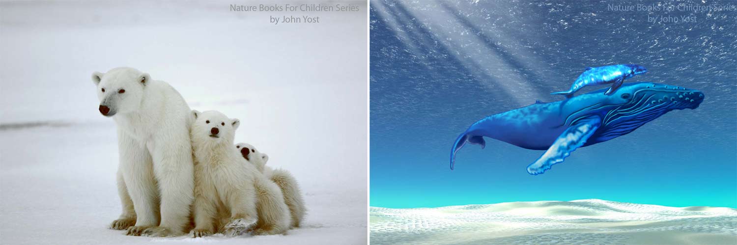 baby animals nature book for children series